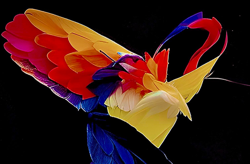 trance movement trance dance houston tx